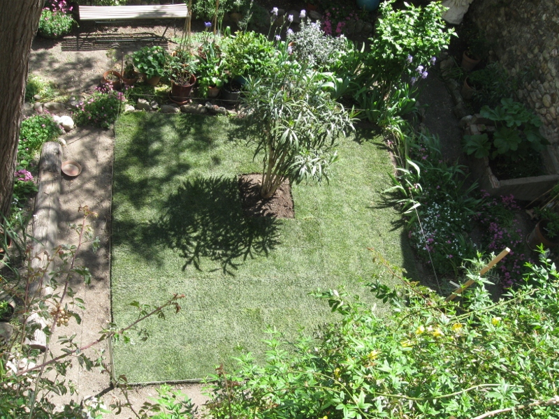 lawn 001 (800x600).jpg